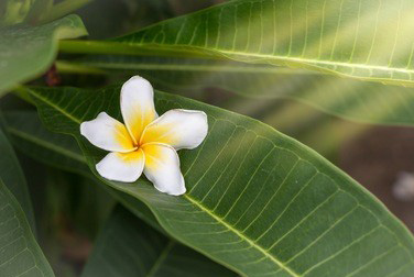 尝试一下绍兴丝袜按摩是一个非常聪明的选择
