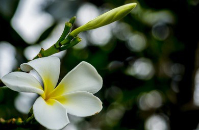 这个夏天就让我们一起来体验绍兴丝袜按摩吧