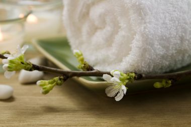 绍兴精油spa项目的流行并非是偶然现象